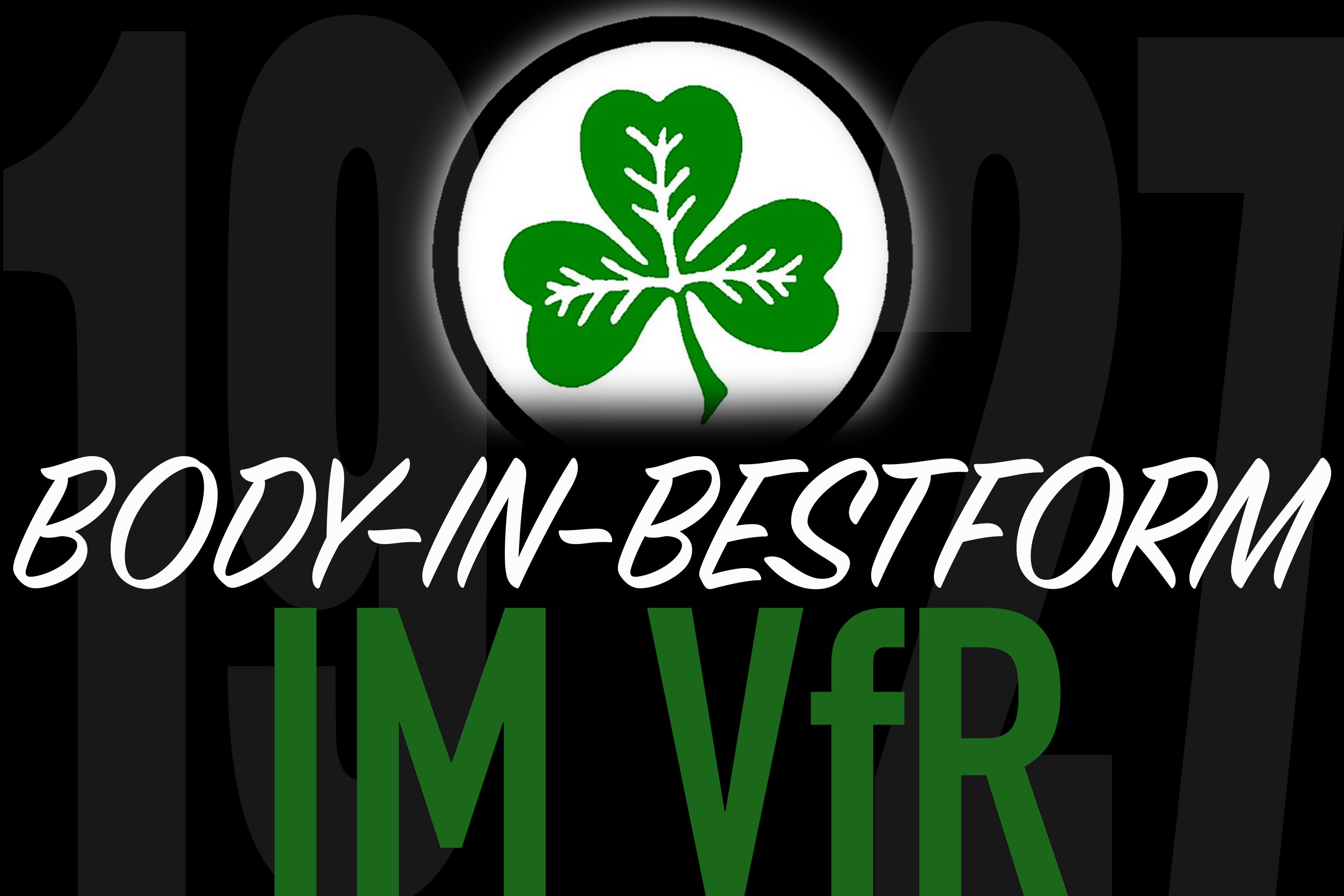 Logo VfR